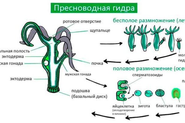 Официальный сайт омг